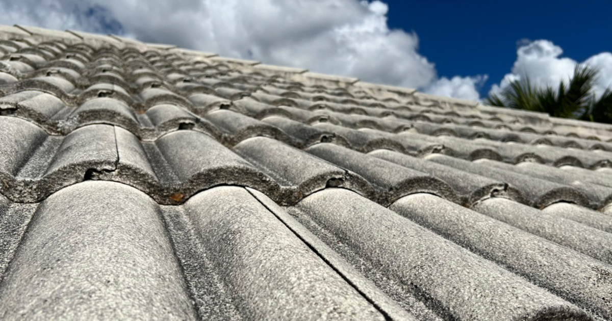 The Impact of Sun and Salt on Your Roof