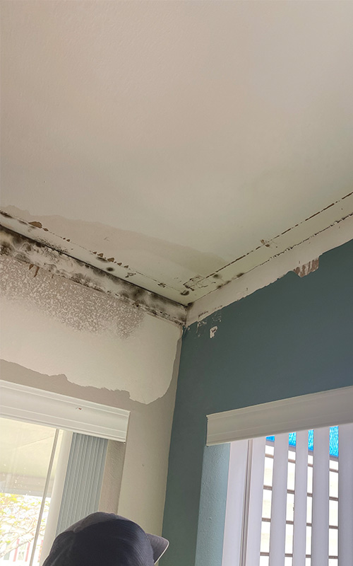 Mold And Water Damage To Ceiling In Port Charlotte, FL
